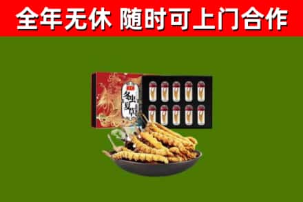 宁强县回收冬虫夏草价格